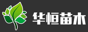 泰安市尊龙凯时苗木有限公司
