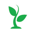 泰安市尊龙凯时苗木有限公司